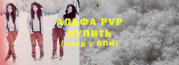 спиды Бородино