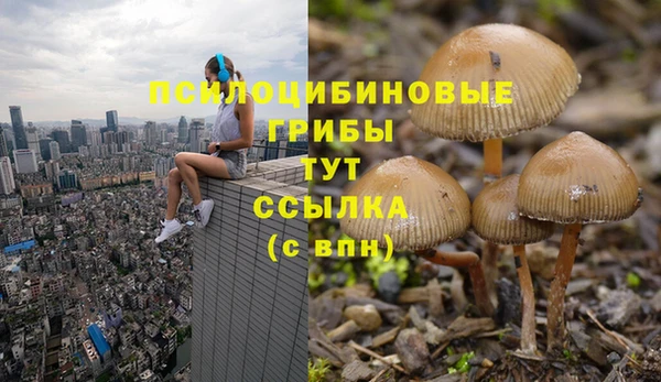 спиды Бородино