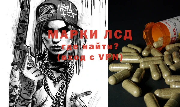 гидропоника Сатка