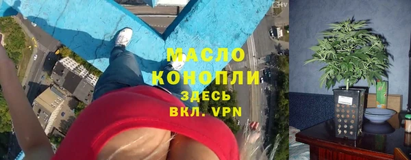 спиды Бородино
