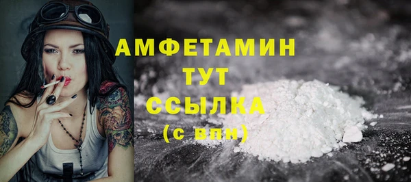 спиды Бородино