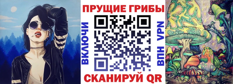 Купить  Берёзовка  Галлюциногенные грибы GOLDEN TEACHER 